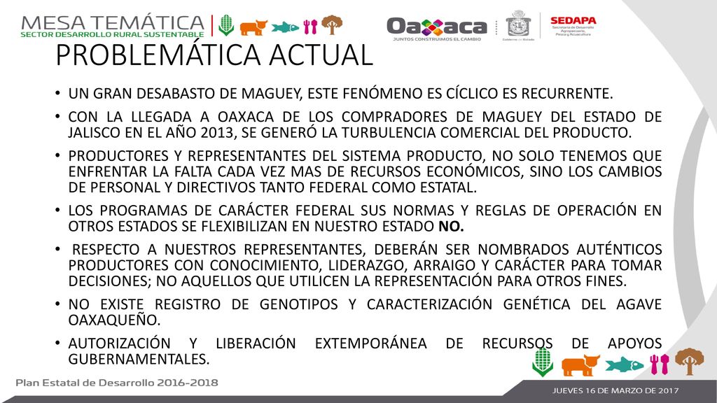 PROBLEMÁTICA ACTUAL UN GRAN DESABASTO DE MAGUEY, ESTE FENÓMENO ES CÍCLICO ES RECURRENTE.