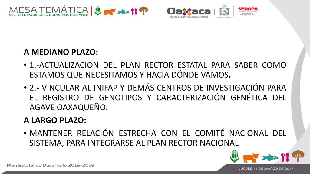 A MEDIANO PLAZO: 1.-ACTUALIZACION DEL PLAN RECTOR ESTATAL PARA SABER COMO ESTAMOS QUE NECESITAMOS Y HACIA DÓNDE VAMOS.