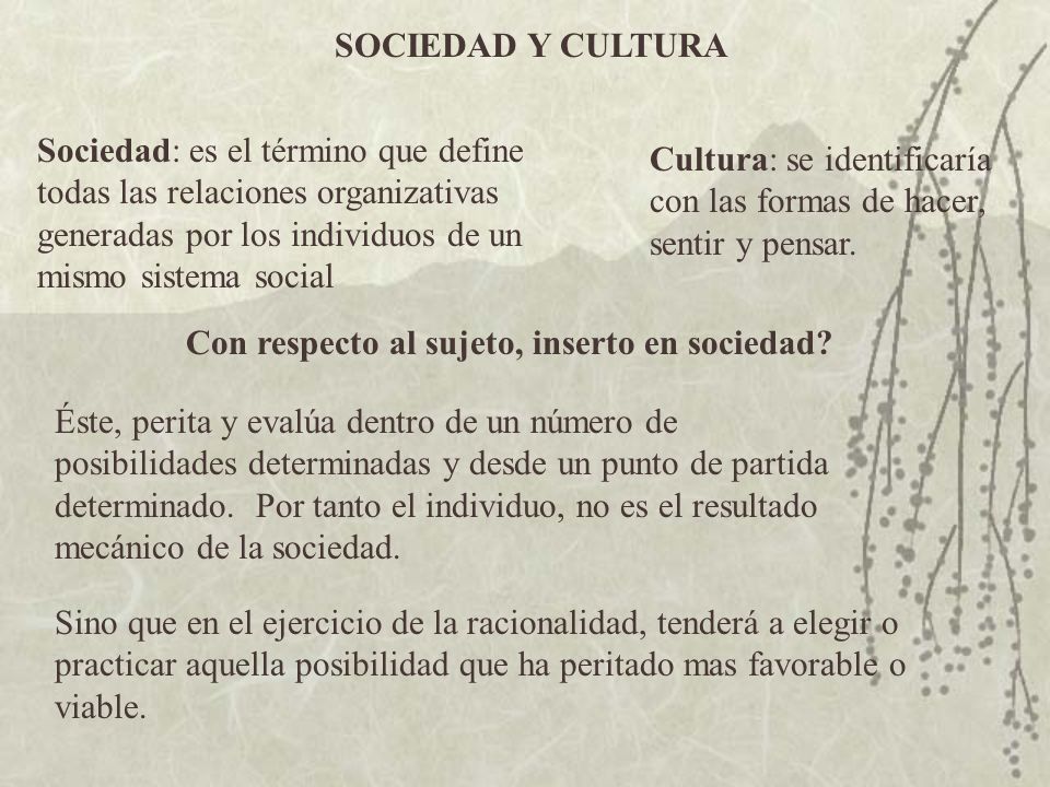 SOCIEDAD Y CULTURA Sociedad: es el término que define todas las relaciones organizativas generadas por los individuos de un mismo sistema social.