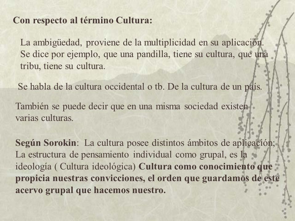 Con respecto al término Cultura: