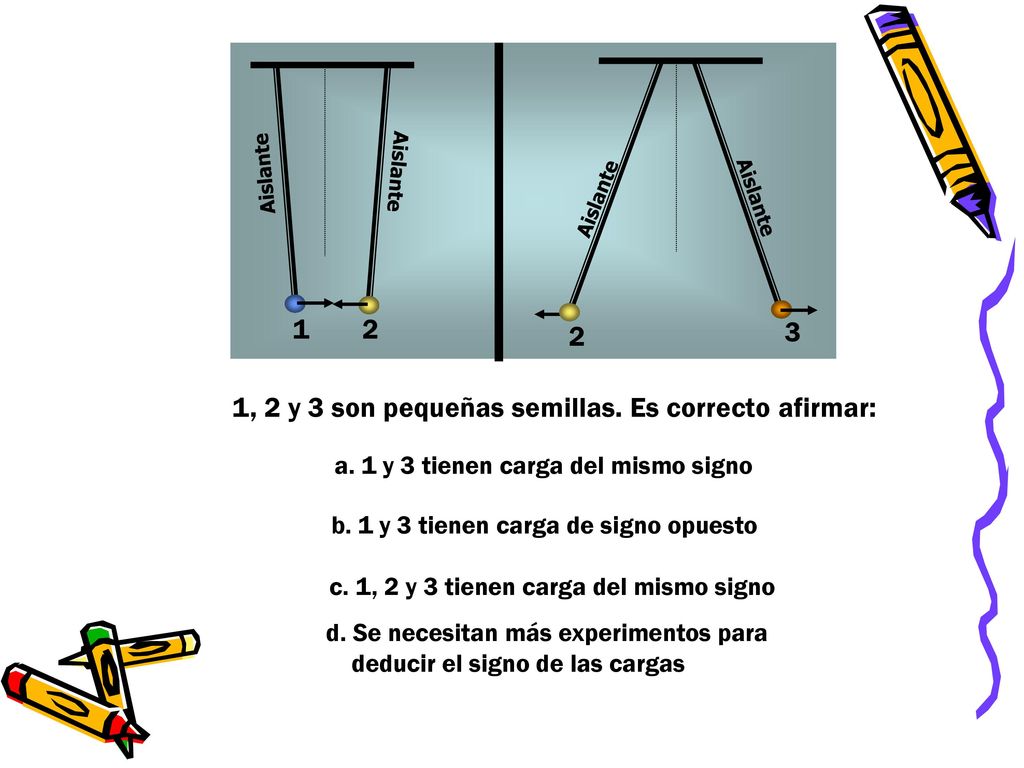 1, 2 y 3 son pequeñas semillas. Es correcto afirmar: