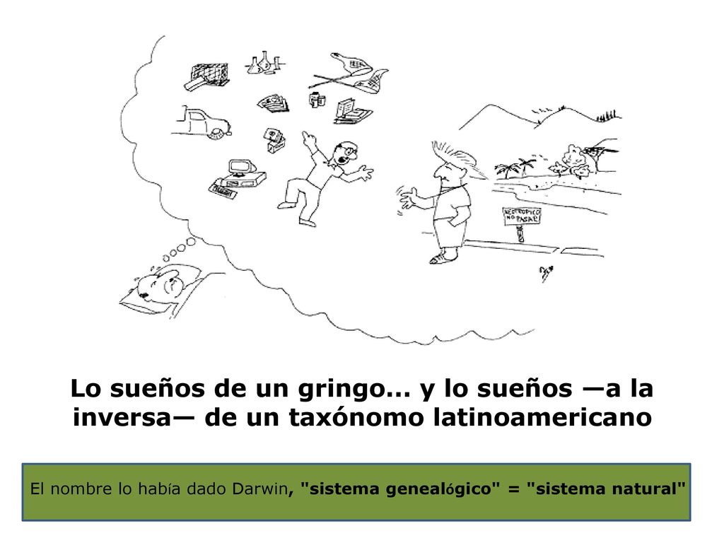Lo sueños de un gringo... y lo sueños —a la inversa— de un taxónomo latinoamericano