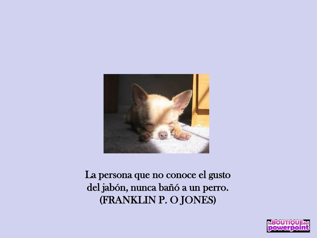 La persona que no conoce el gusto del jabón, nunca bañó a un perro.