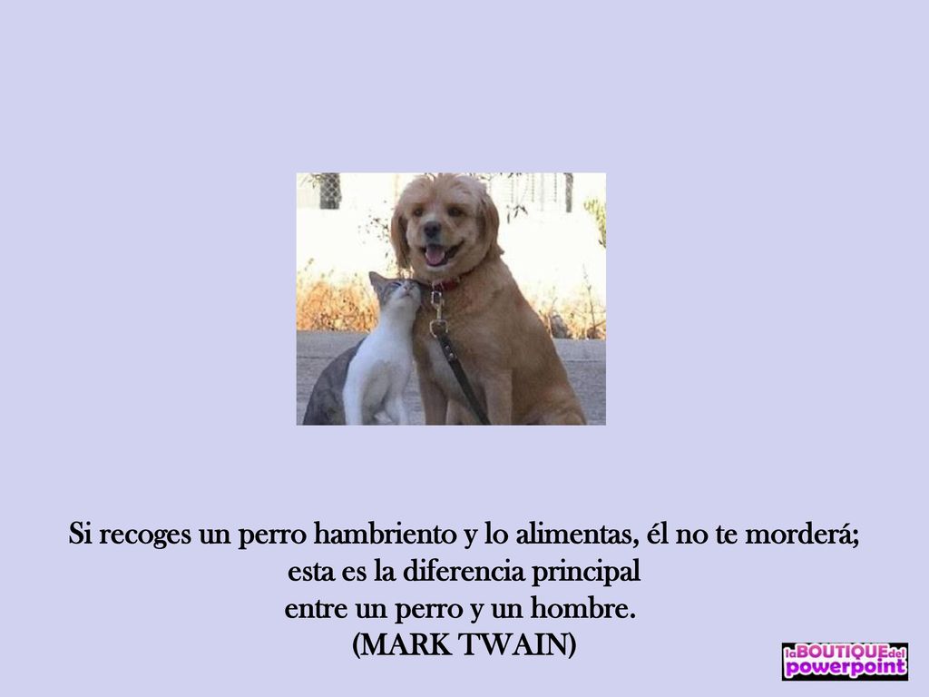 Si recoges un perro hambriento y lo alimentas, él no te morderá;