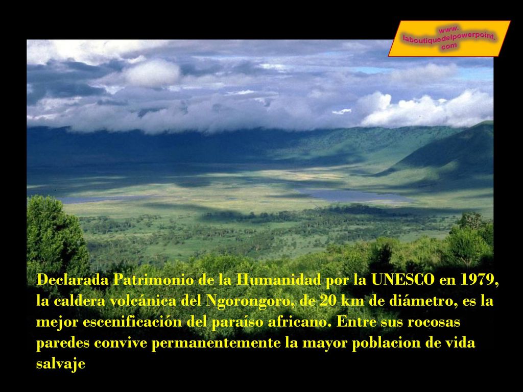 Declarada Patrimonio de la Humanidad por la UNESCO en 1979, la caldera volcánica del Ngorongoro, de 20 km de diámetro, es la mejor escenificación del paraíso africano.