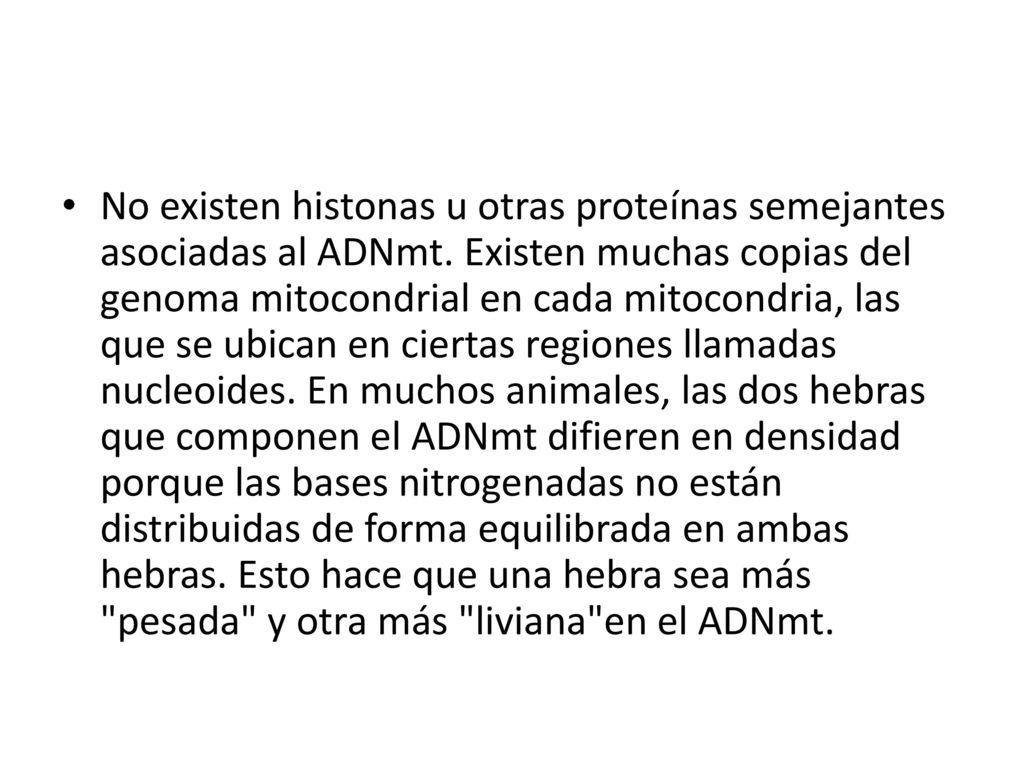 No existen histonas u otras proteínas semejantes asociadas al ADNmt