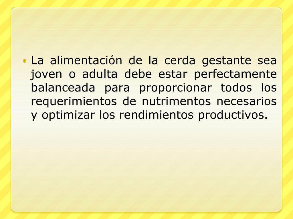 La alimentación de la cerda gestante sea joven o adulta debe estar perfectamente balanceada para proporcionar todos los requerimientos de nutrimentos necesarios y optimizar los rendimientos productivos.