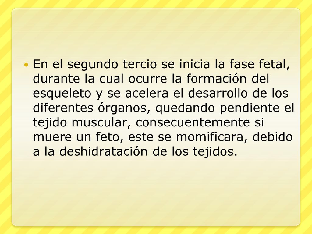 En el segundo tercio se inicia la fase fetal, durante la cual ocurre la formación del esqueleto y se acelera el desarrollo de los diferentes órganos, quedando pendiente el tejido muscular, consecuentemente si muere un feto, este se momificara, debido a la deshidratación de los tejidos.