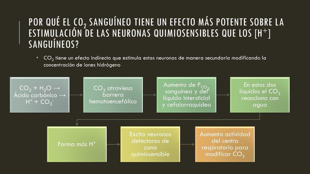 Por qué el CO2 sanguíneo tiene un efecto más potente sobre la estimulación de las neuronas quimiosensibles que los [H+] sanguíneos