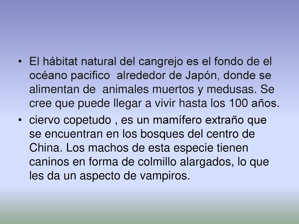 El hábitat natural del cangrejo es el fondo de el océano pacifico alrededor de Japón, donde se alimentan de animales muertos y medusas. Se cree que puede llegar a vivir hasta los 100 años.
