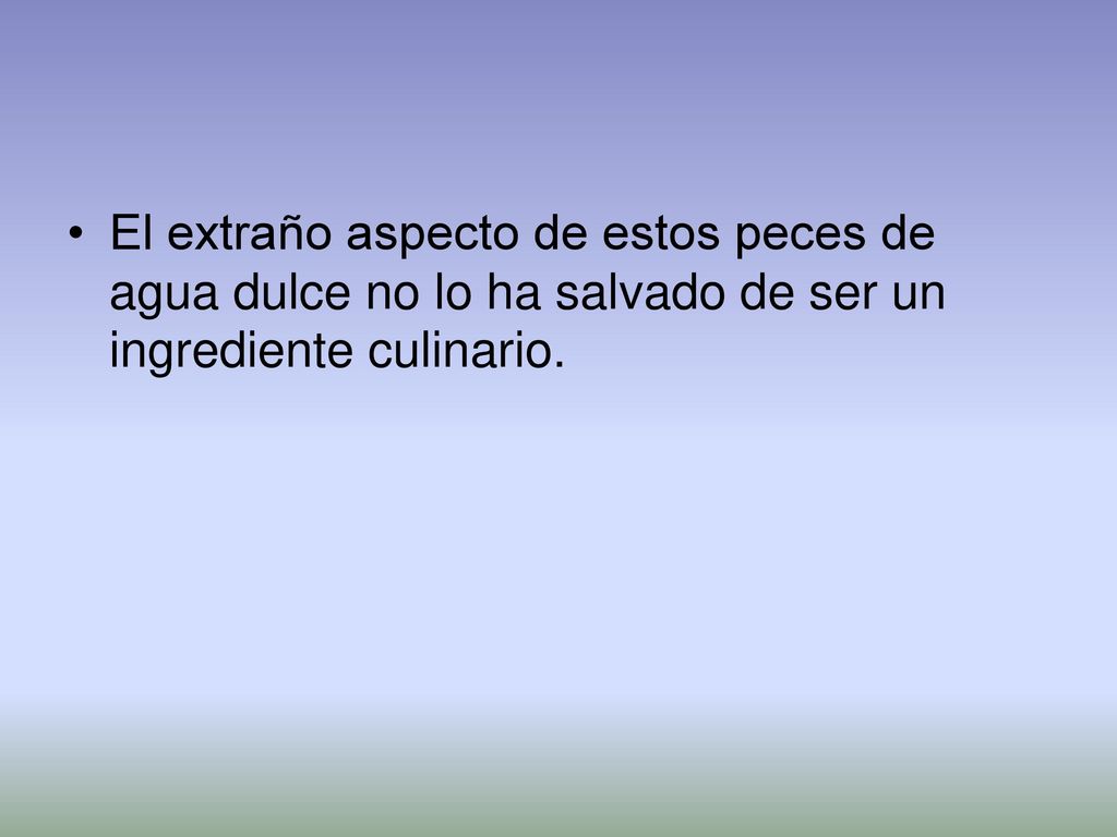 El extraño aspecto de estos peces de agua dulce no lo ha salvado de ser un ingrediente culinario.