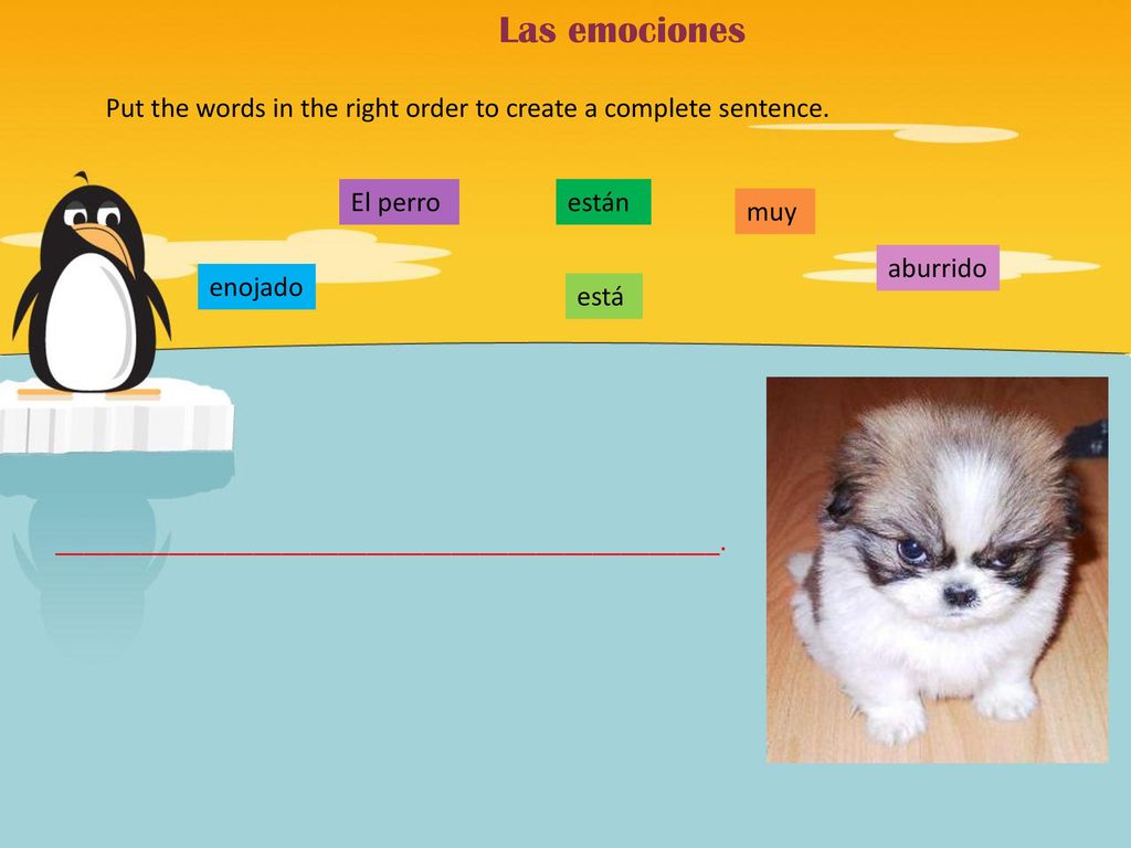 Las emociones Put the words in the right order to create a complete sentence. El perro. ¡Uy!No. están.