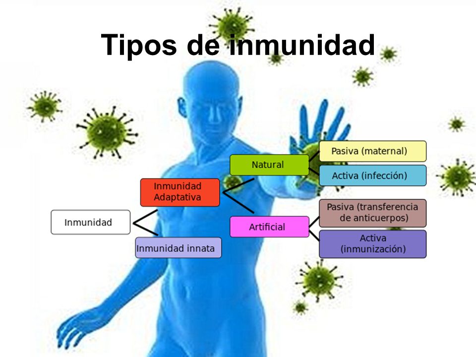 Tipos de inmunidad