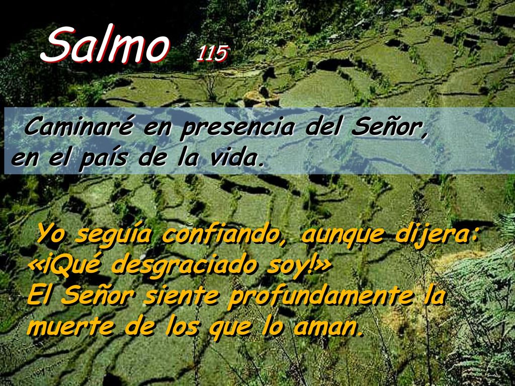 Salmo 115 Caminaré en presencia del Señor, en el país de la vida.