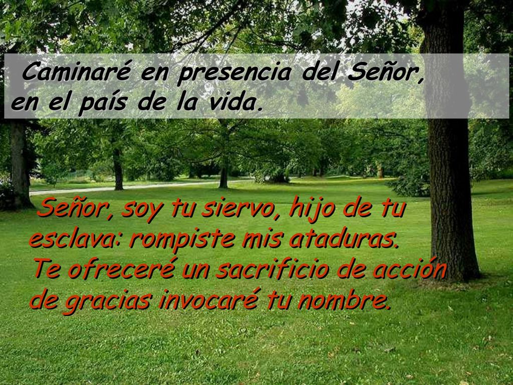Caminaré en presencia del Señor, en el país de la vida.
