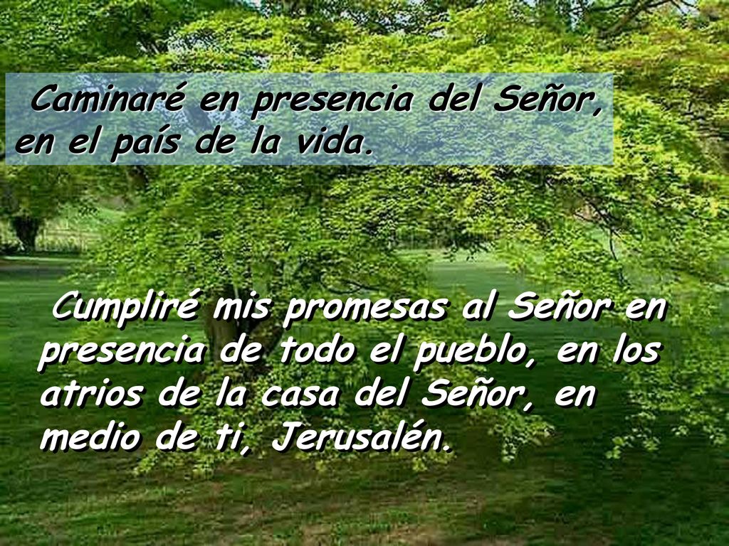 Caminaré en presencia del Señor, en el país de la vida.