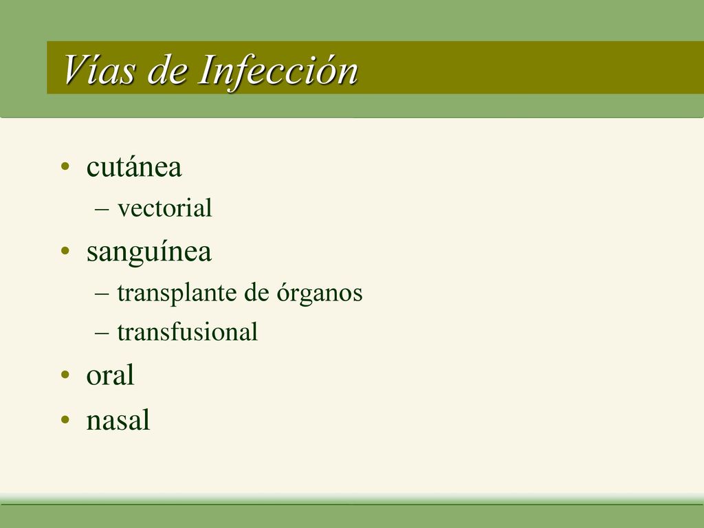 Vías de Infección cutánea sanguínea oral nasal vectorial