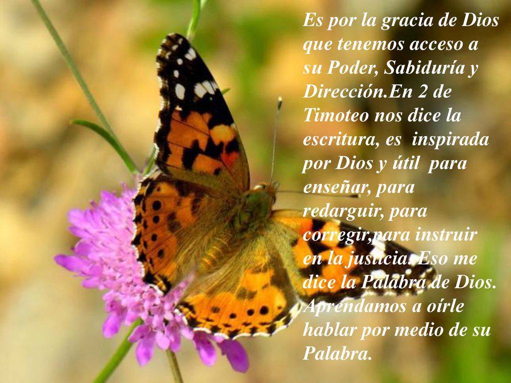 Es por la gracia de Dios que tenemos acceso a su Poder, Sabiduría y Dirección.En 2 de Timoteo nos dice la escritura, es inspirada por Dios y útil para enseñar, para redarguir, para corregir,para instruir en la justicia.