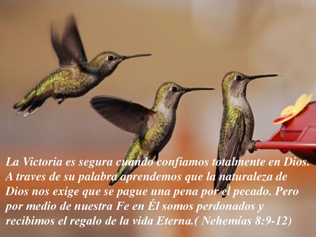 La Victoria es segura cuando confiamos totalmente en Dios