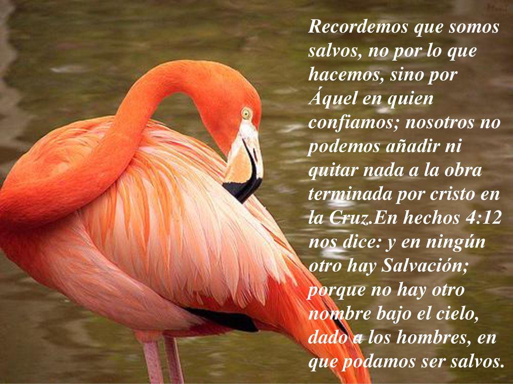 Recordemos que somos salvos, no por lo que hacemos, sino por Áquel en quien confiamos; nosotros no podemos añadir ni quitar nada a la obra terminada por cristo en la Cruz.En hechos 4:12 nos dice: y en ningún otro hay Salvación; porque no hay otro nombre bajo el cielo, dado a los hombres, en que podamos ser salvos.