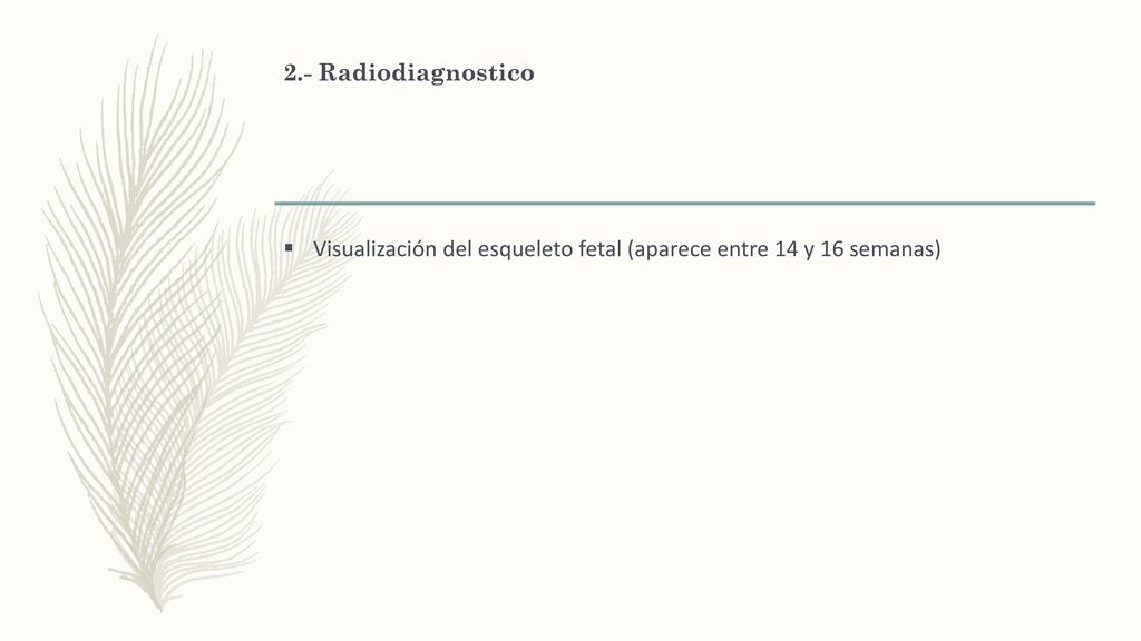 2.- Radiodiagnostico Visualización del esqueleto fetal (aparece entre 14 y 16 semanas)