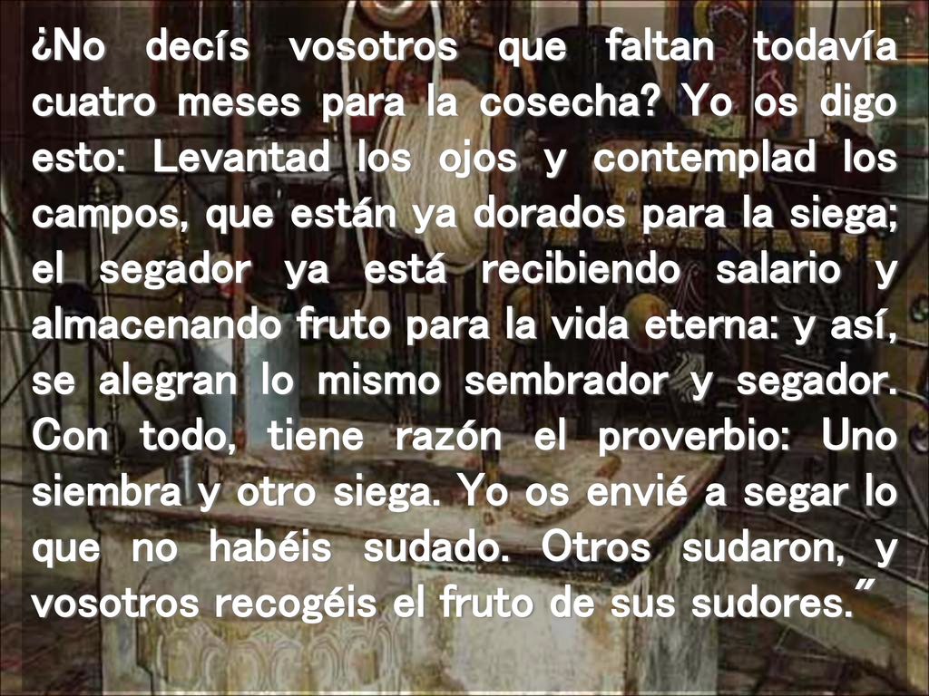 ¿No decís vosotros que faltan todavía cuatro meses para la cosecha