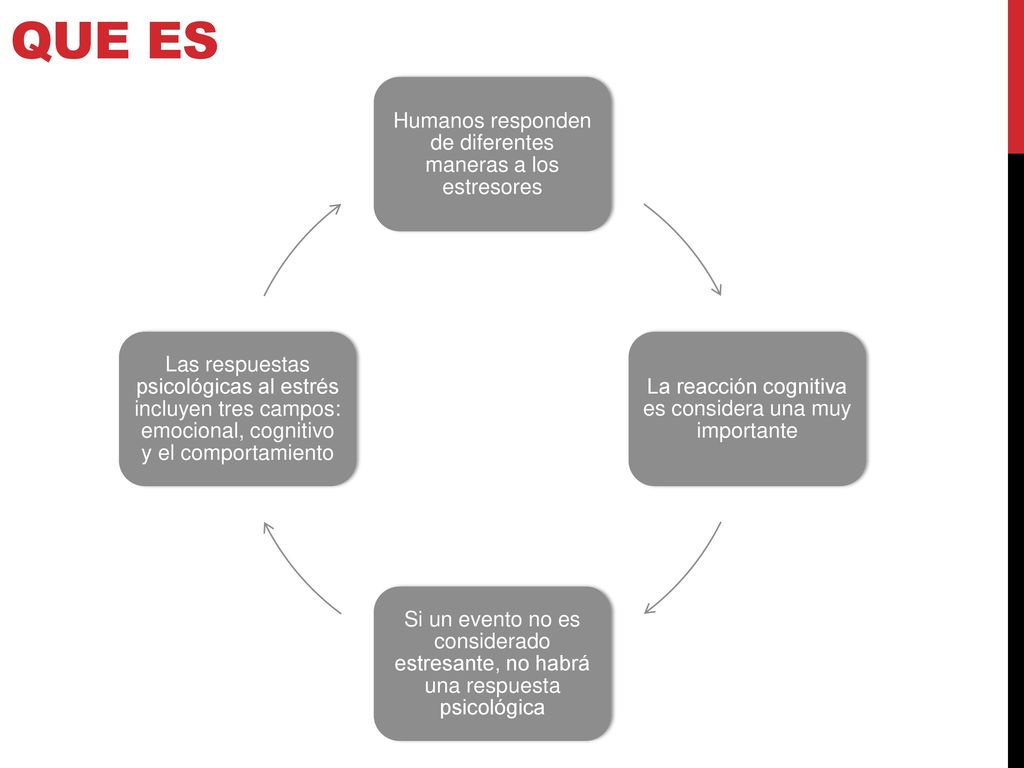 Que es Humanos responden de diferentes maneras a los estresores