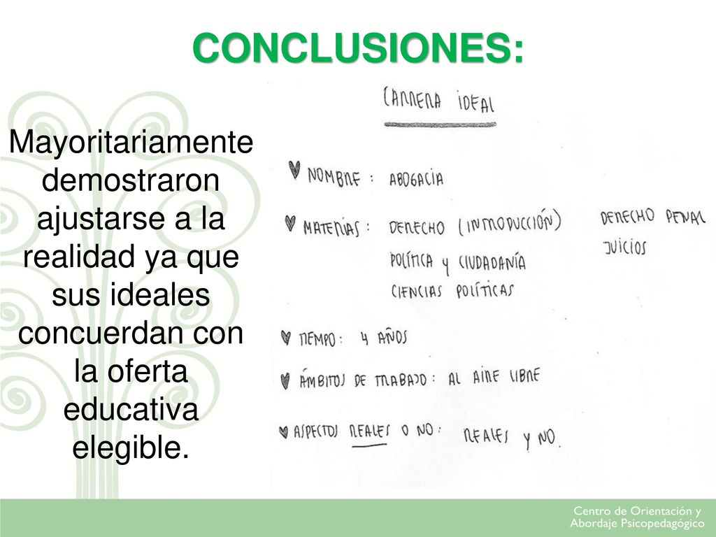 CONCLUSIONES: Mayoritariamente demostraron ajustarse a la realidad ya que sus ideales concuerdan con la oferta educativa elegible.