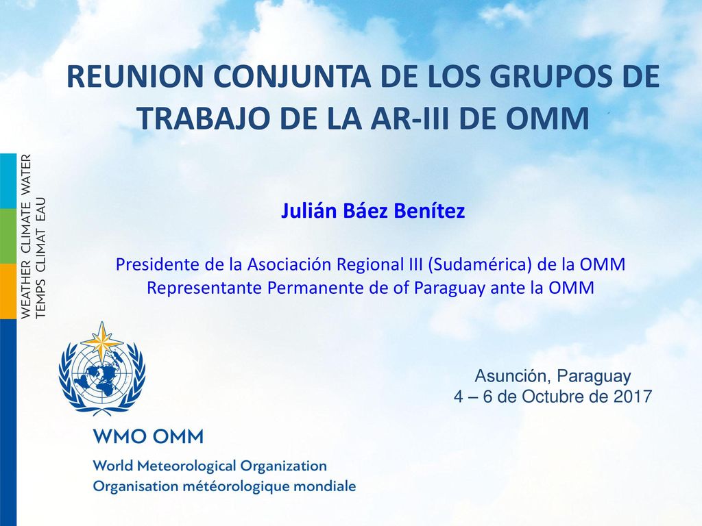 REUNION CONJUNTA DE LOS GRUPOS DE TRABAJO DE LA AR-III DE OMM