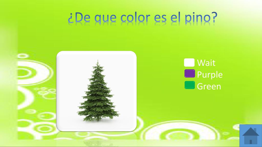 ¿De que color es el pino Wait Purple Green