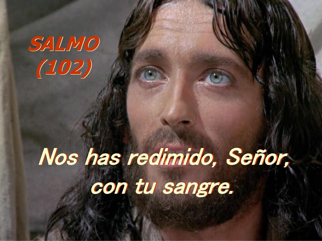 SALMO (102) Nos has redimido, Señor, con tu sangre.