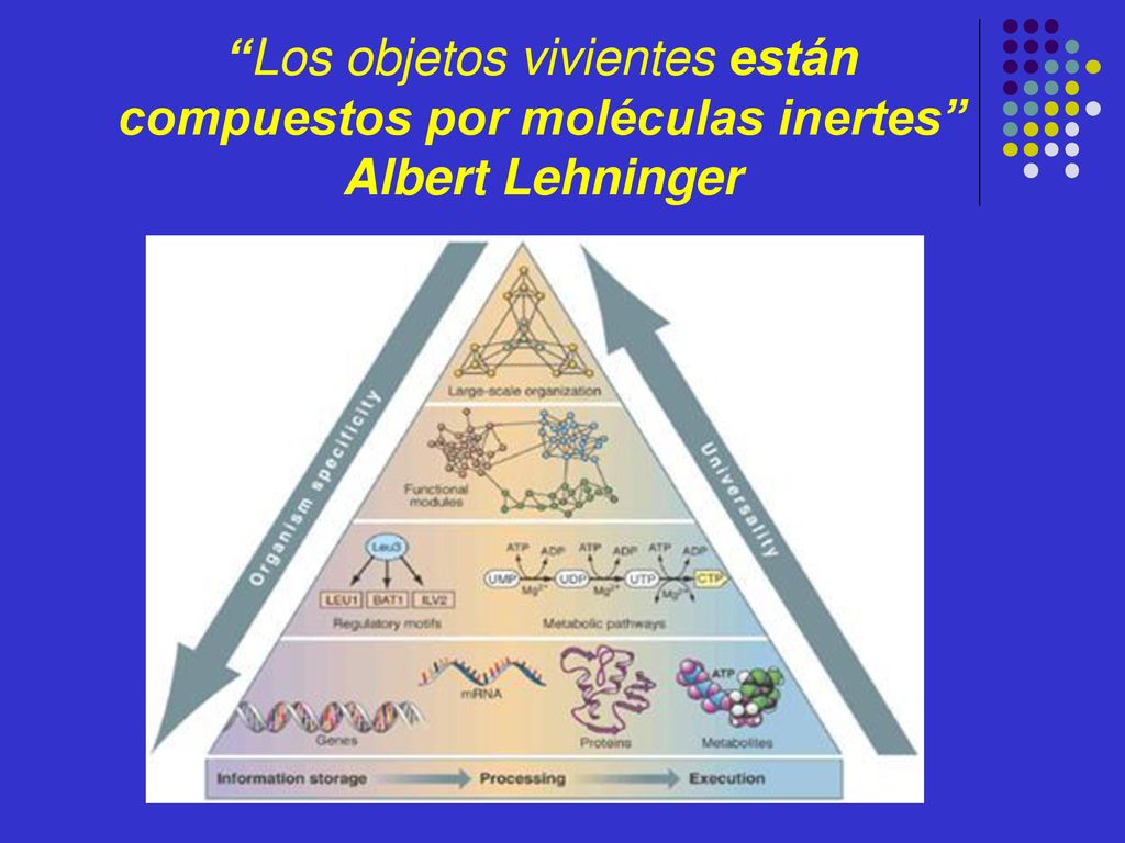 Los objetos vivientes están compuestos por moléculas inertes Albert Lehninger