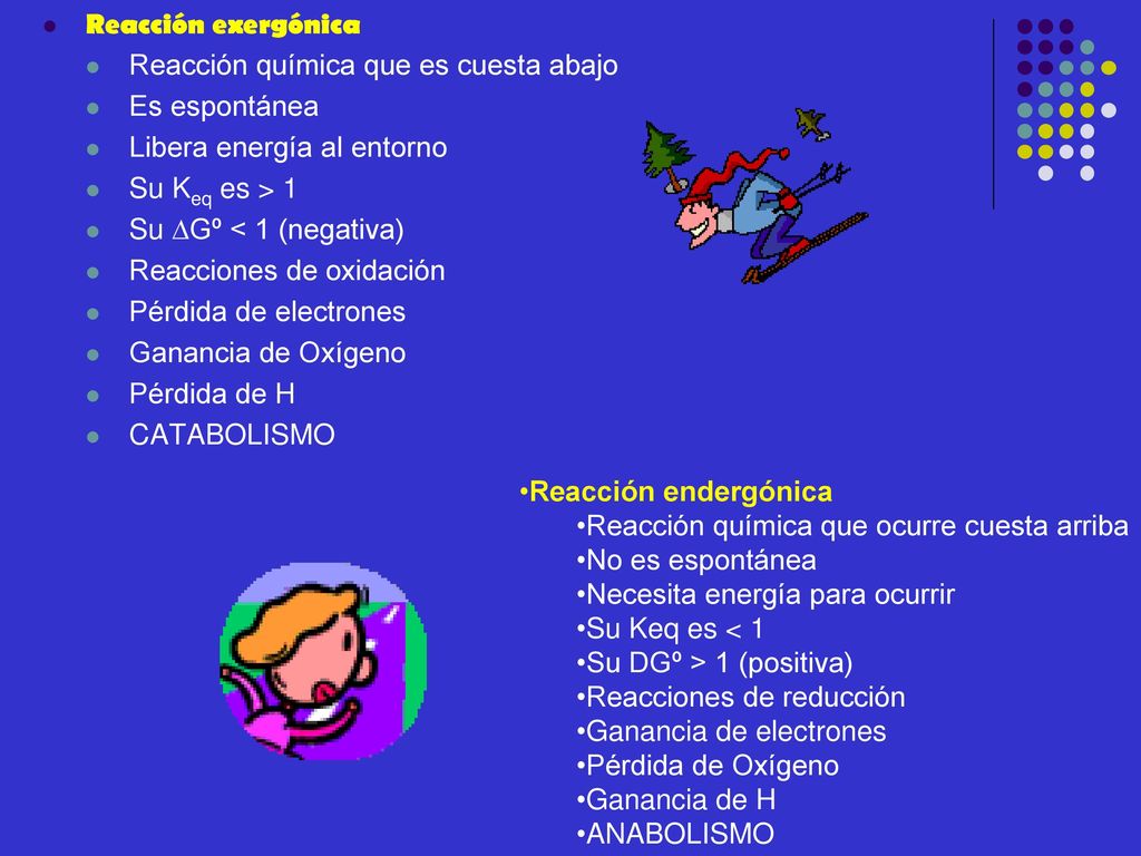 Reacción exergónica Reacción química que es cuesta abajo. Es espontánea. Libera energía al entorno.