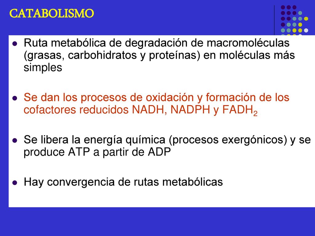 CATABOLISMO Ruta metabólica de degradación de macromoléculas (grasas, carbohidratos y proteínas) en moléculas más simples.