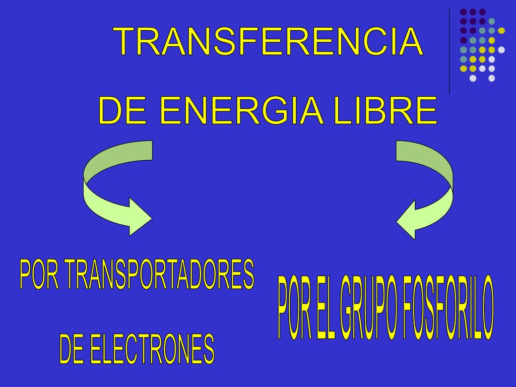 TRANSFERENCIA DE ENERGIA LIBRE POR TRANSPORTADORES DE ELECTRONES POR EL GRUPO FOSFORILO