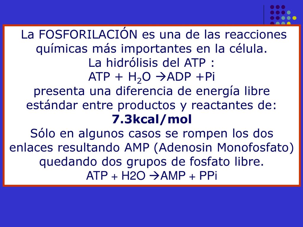 La FOSFORILACIÓN es una de las reacciones químicas más importantes en la célula.