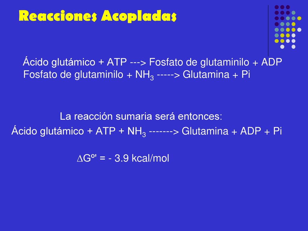 Reacciones Acopladas Ácido glutámico + ATP ---> Fosfato de glutaminilo + ADP Fosfato de glutaminilo + NH > Glutamina + Pi.