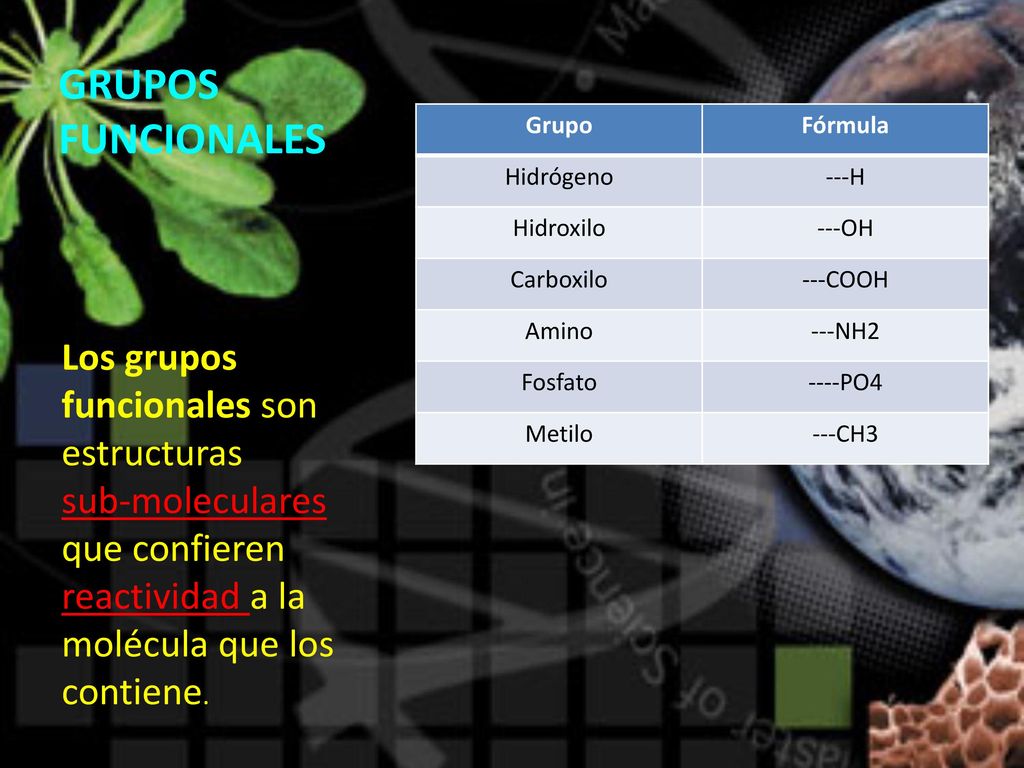 GRUPOS FUNCIONALES Grupo. Fórmula. Hidrógeno. ---H. Hidroxilo. ---OH. Carboxilo. ---COOH. Amino.