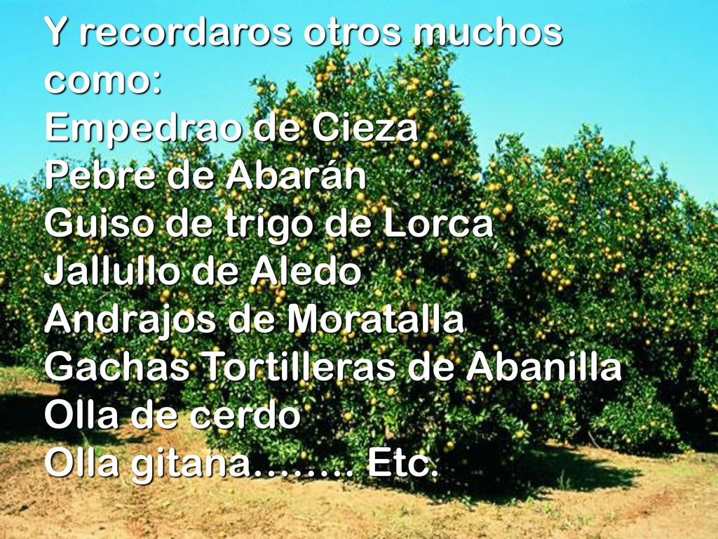 Y recordaros otros muchos como: Empedrao de Cieza Pebre de Abarán Guiso de trigo de Lorca Jallullo de Aledo Andrajos de Moratalla Gachas Tortilleras de Abanilla Olla de cerdo Olla gitana……..