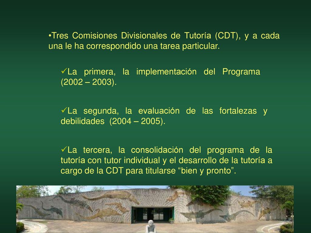 Tres Comisiones Divisionales de Tutoría (CDT), y a cada una le ha correspondido una tarea particular.