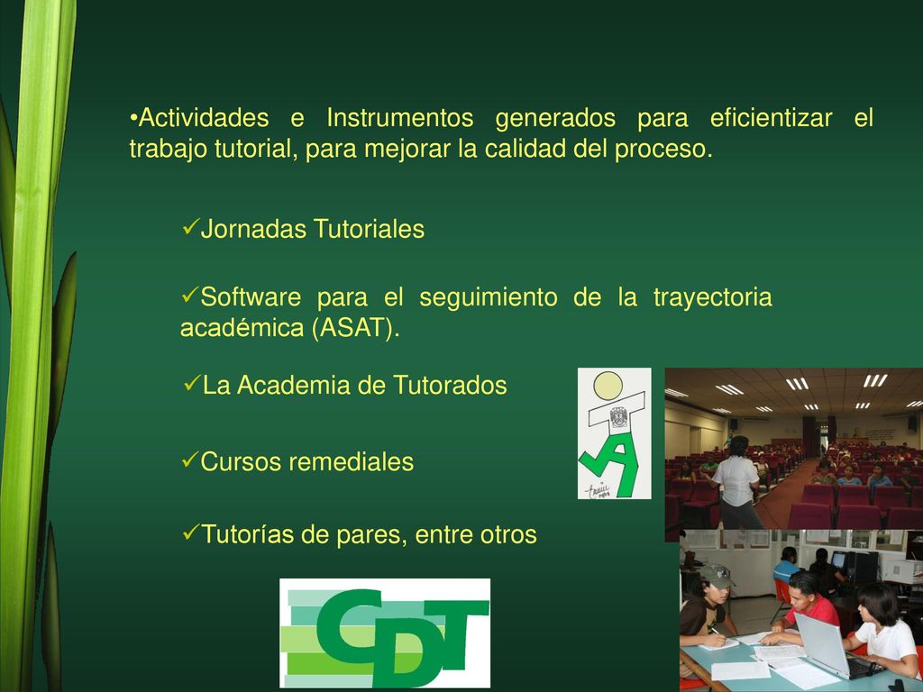 Actividades e Instrumentos generados para eficientizar el trabajo tutorial, para mejorar la calidad del proceso.
