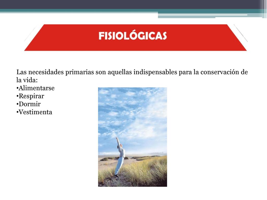 Las necesidades primarias son aquellas indispensables para la conservación de la vida: