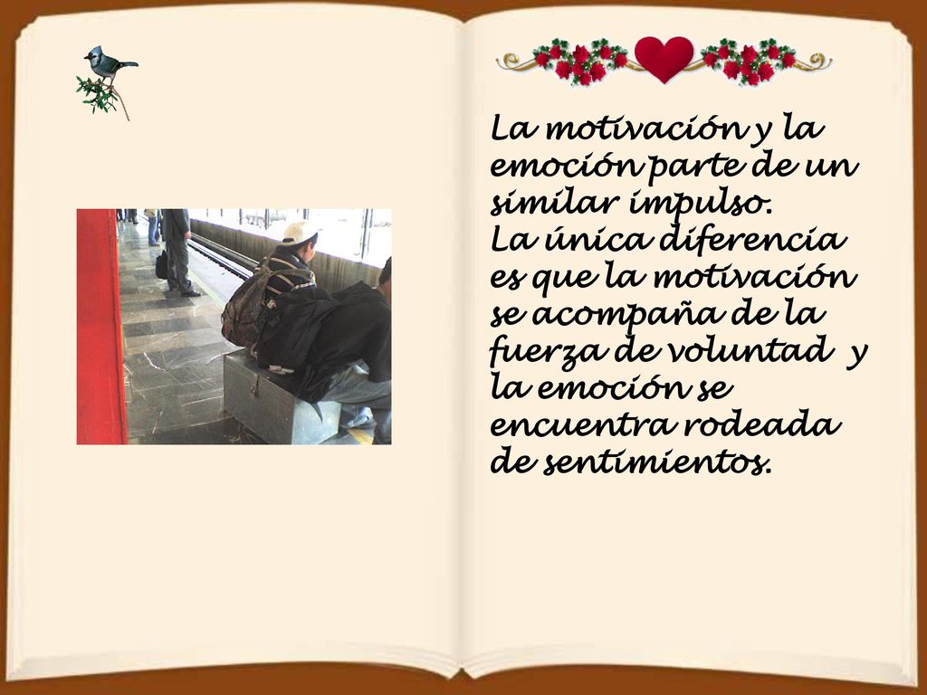 La motivación y la emoción parte de un similar impulso.