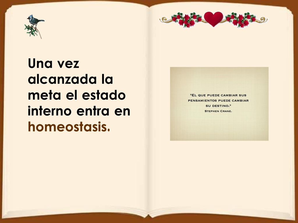 Una vez alcanzada la meta el estado interno entra en homeostasis.