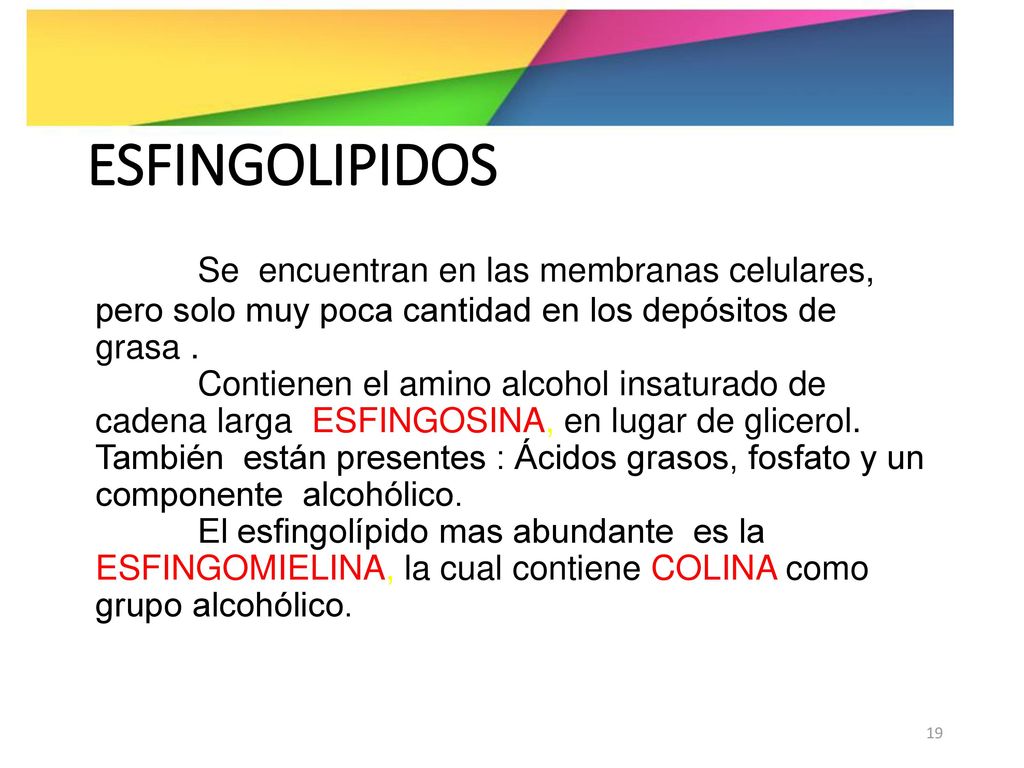 ESFINGOLIPIDOS Se encuentran en las membranas celulares, pero solo muy poca cantidad en los depósitos de grasa .