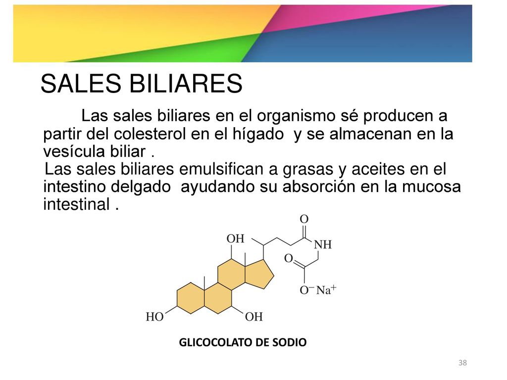 SALES BILIARES Las sales biliares en el organismo sé producen a partir del colesterol en el hígado y se almacenan en la vesícula biliar .
