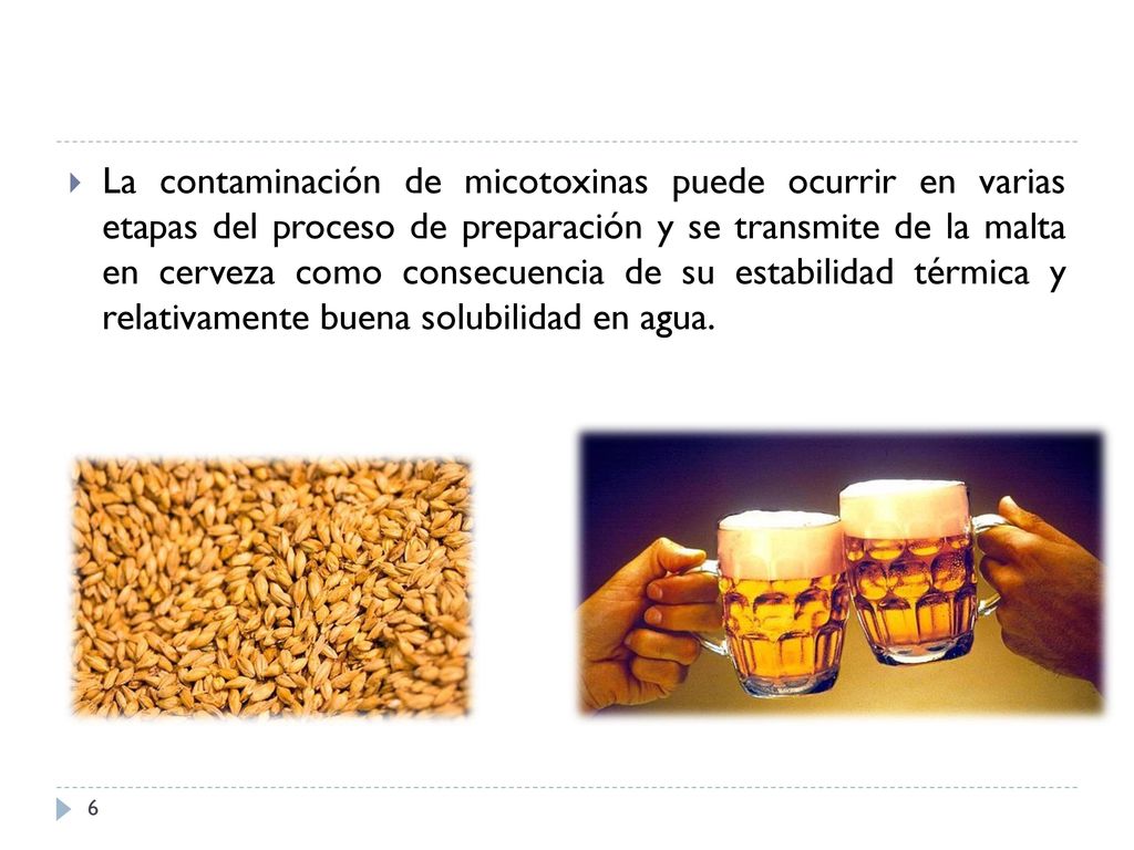 La contaminación de micotoxinas puede ocurrir en varias etapas del proceso de preparación y se transmite de la malta en cerveza como consecuencia de su estabilidad térmica y relativamente buena solubilidad en agua.