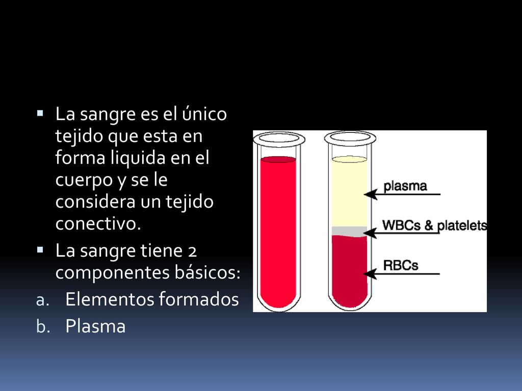 La sangre es el único tejido que esta en forma liquida en el cuerpo y se le considera un tejido conectivo.