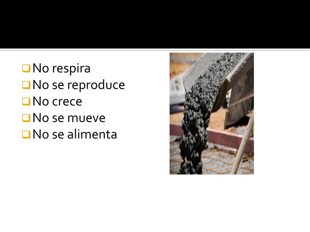 CARACTERISTICAS: No respira No se reproduce No crece No se mueve No se alimenta