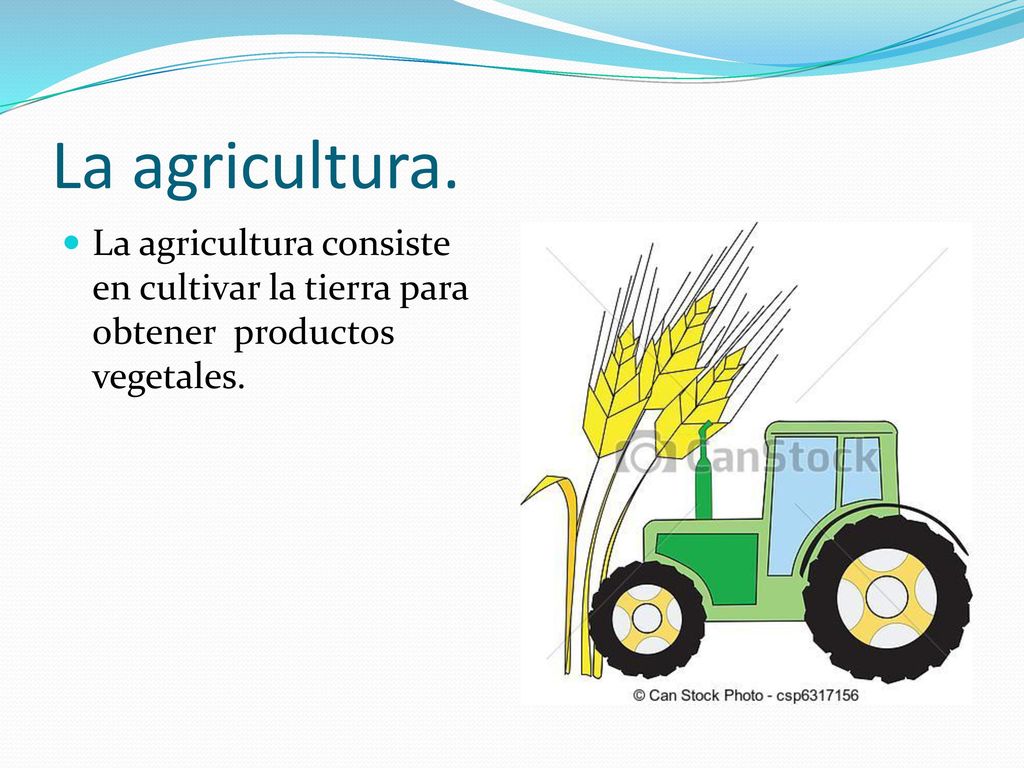 La agricultura. La agricultura consiste en cultivar la tierra para obtener productos vegetales.